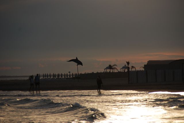 DSC_4445.JPG