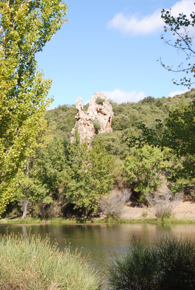 DSC_4500.JPG