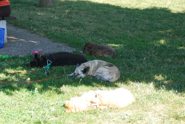 DSC_4659.JPG