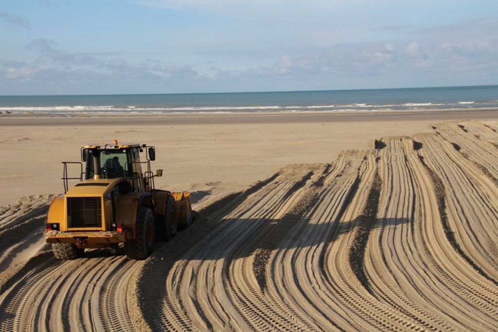 BaiedeSomme 081 (Copier).JPG