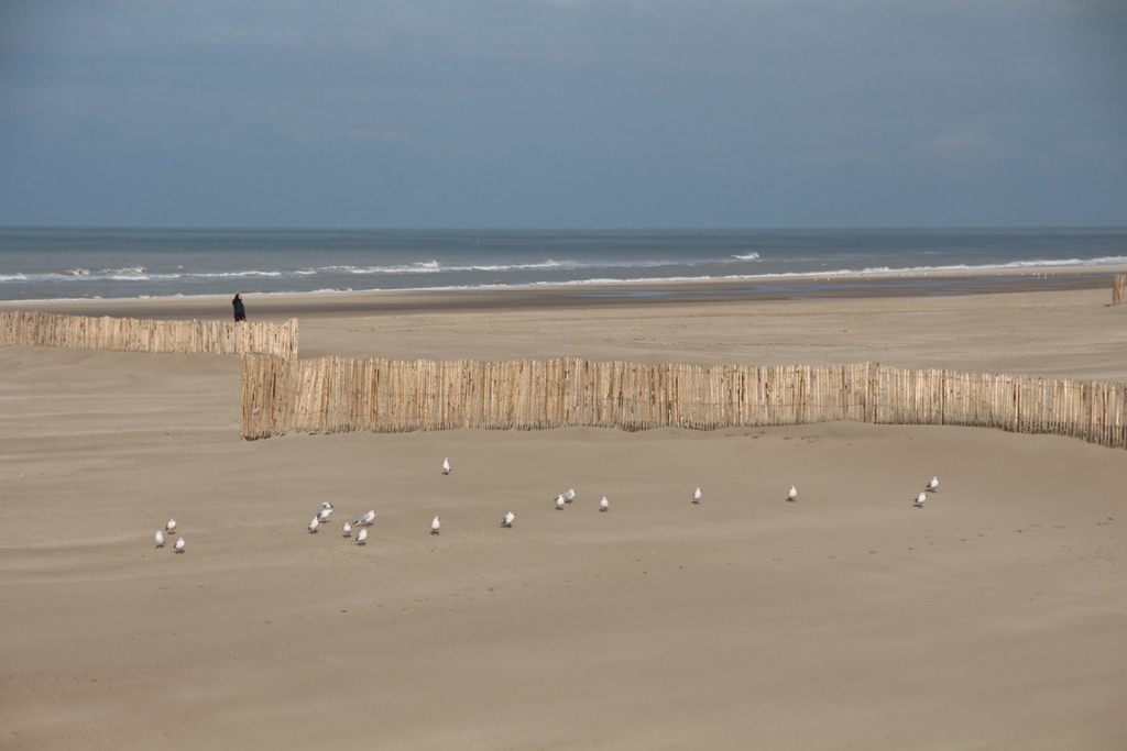 BaiedeSomme 108 (Copier).JPG