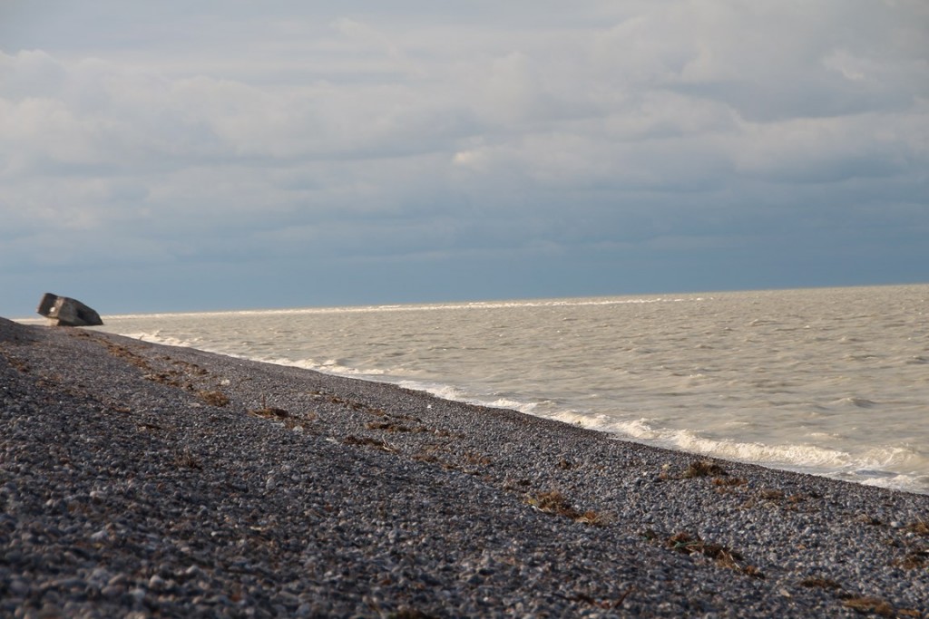 BaiedeSomme 151 (Copier).JPG