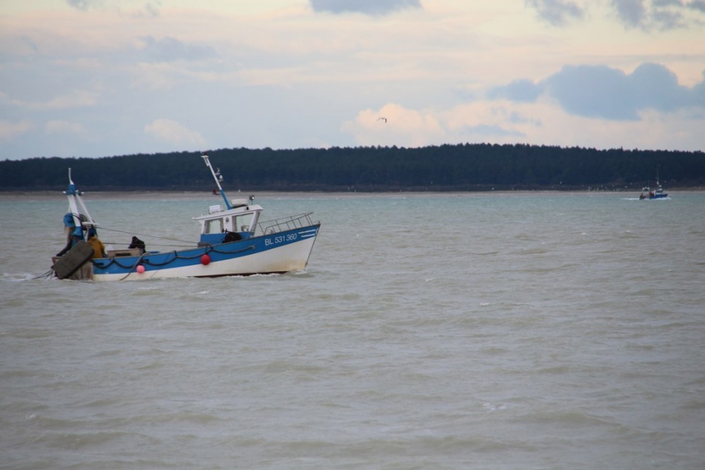 BaiedeSomme 159 (Copier).JPG