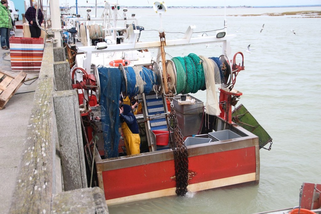 BaiedeSomme 182 (Copier).JPG