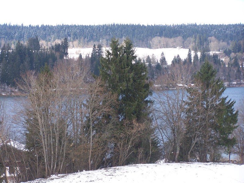 100_4339.JPG