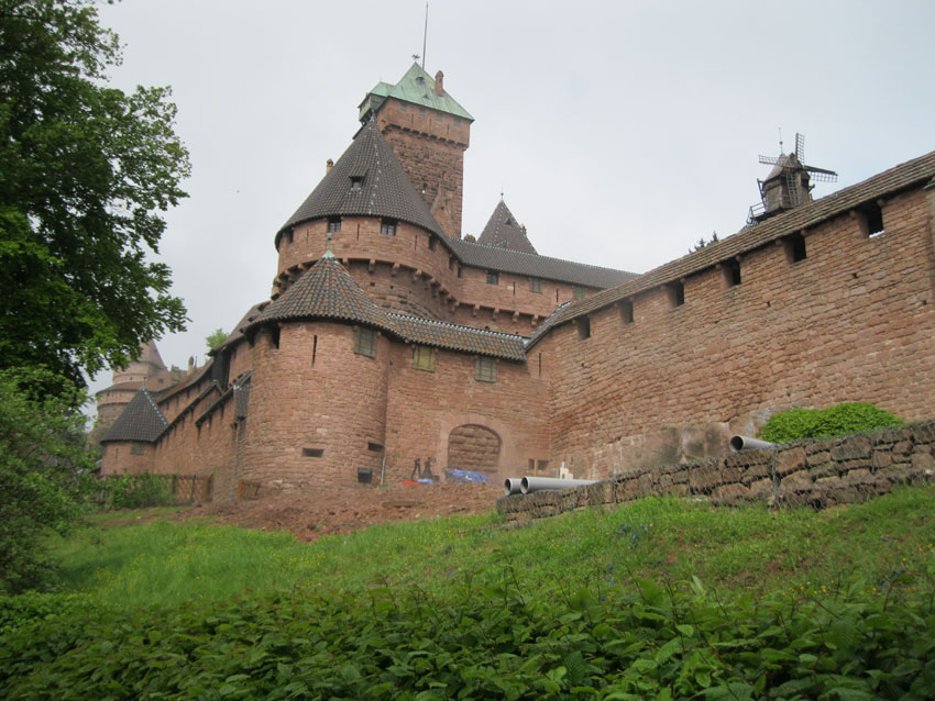 Chat-du-Haut-Koenigsbourg.jpg