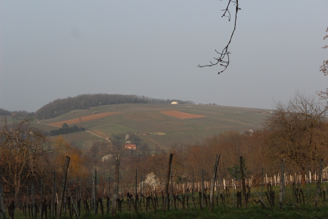 les hauts de soulzt