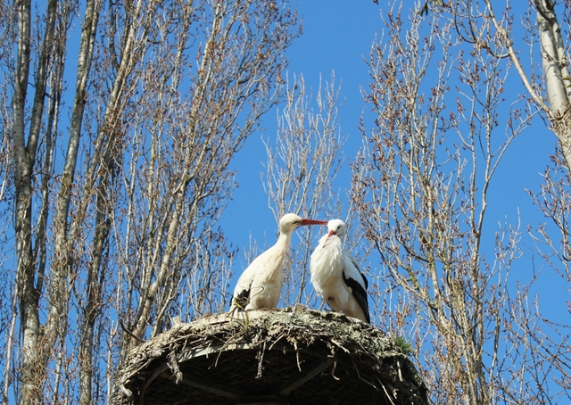 et voila et c'est sur ce bisou que je vous quitte <br />pas belle la nature !!