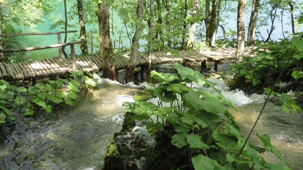 PASSERELLE
