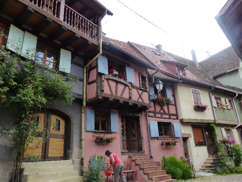 P1020011(1).JPG
