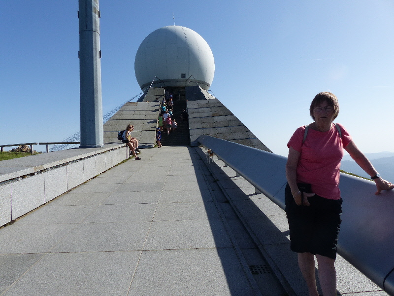 P1010769(1).JPG