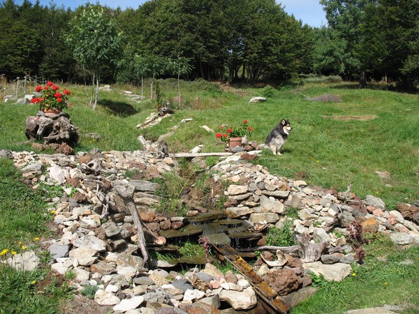 source et fayards.jpg