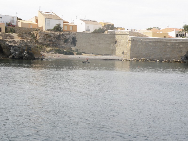 P9170296.JPG