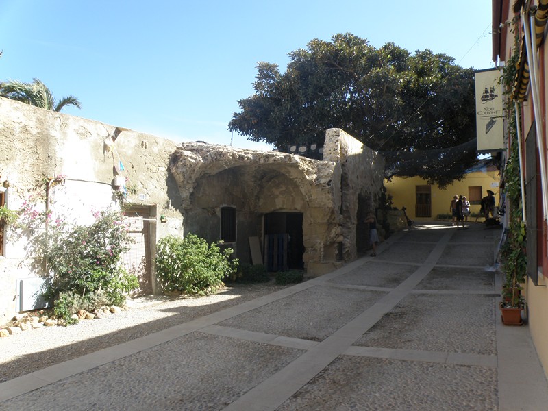 P9170316.JPG