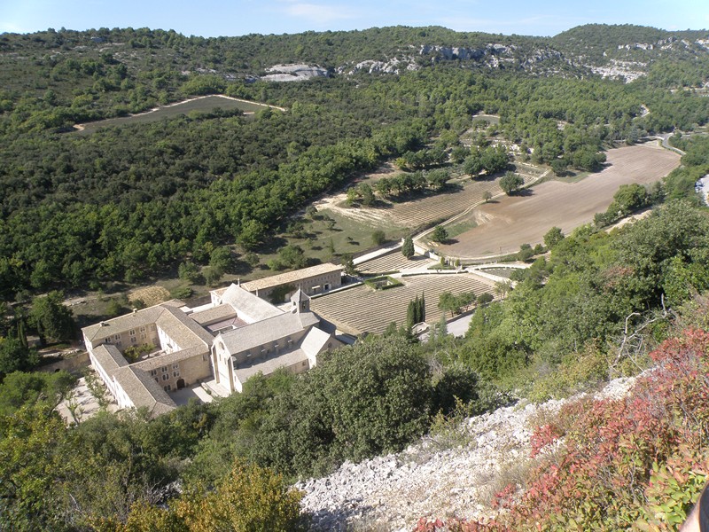 Monaster