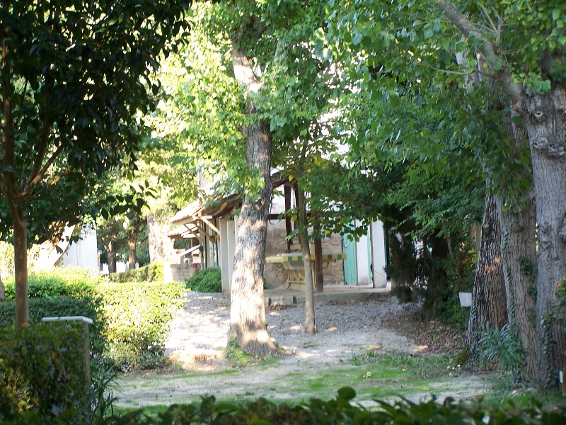 100_4809.JPG
