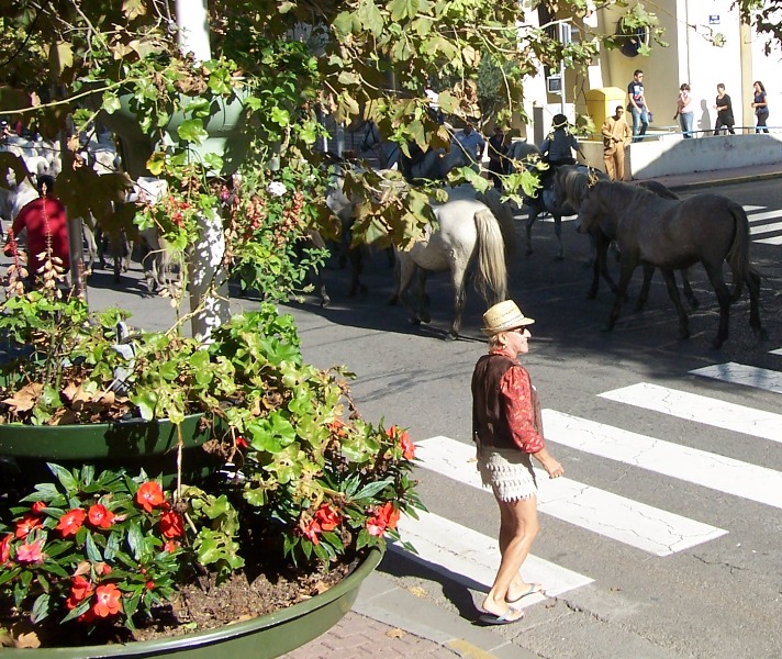 100_4770.JPG