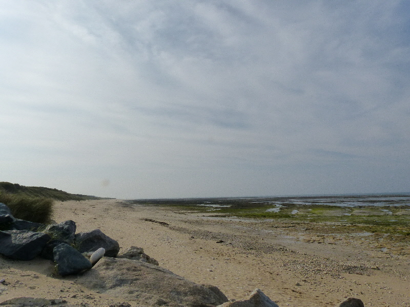 P1030795(1).JPG