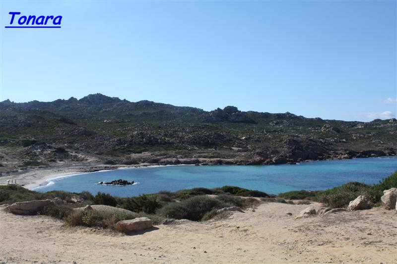 tonara (1) (Medium).jpg