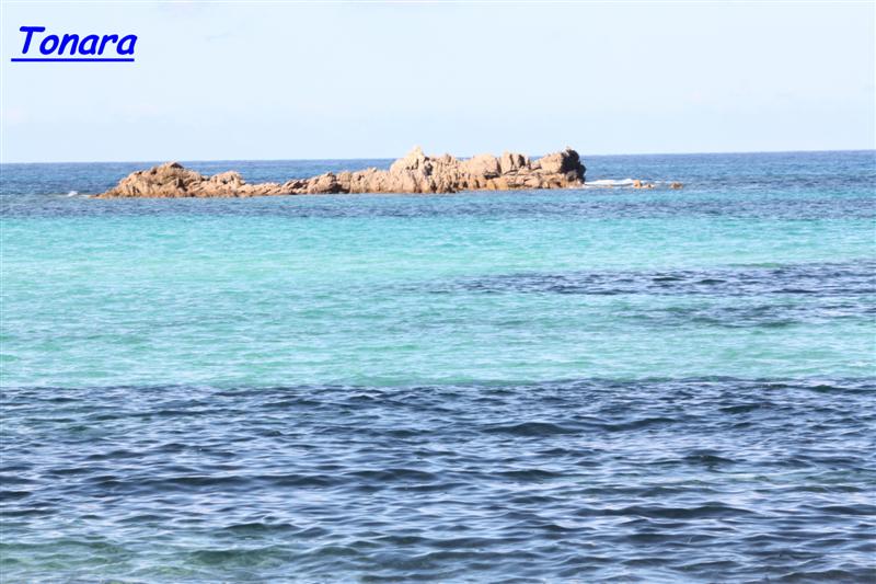 tonara (2) (Medium).jpg