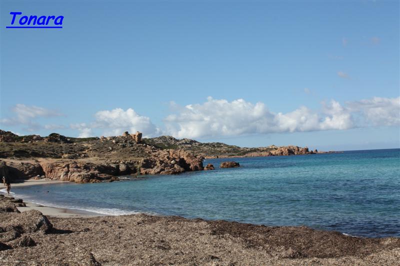 tonara (5) (Medium).jpg