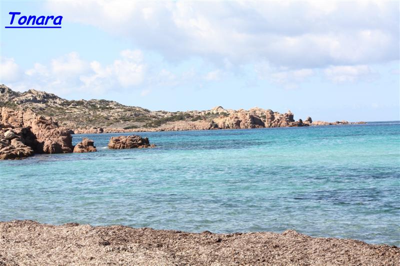 tonara (Medium).jpg