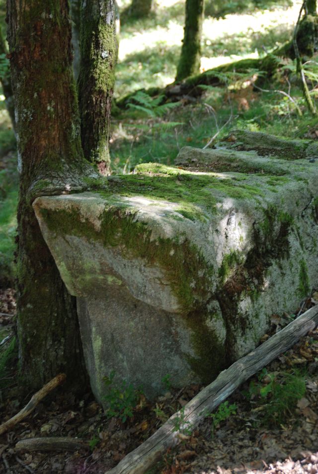 DSC_5789.JPG