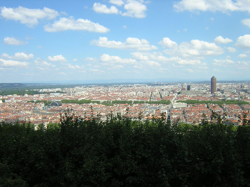 L1.jpg