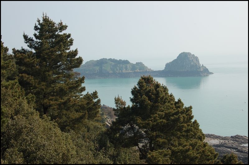 BZH(3).JPG
