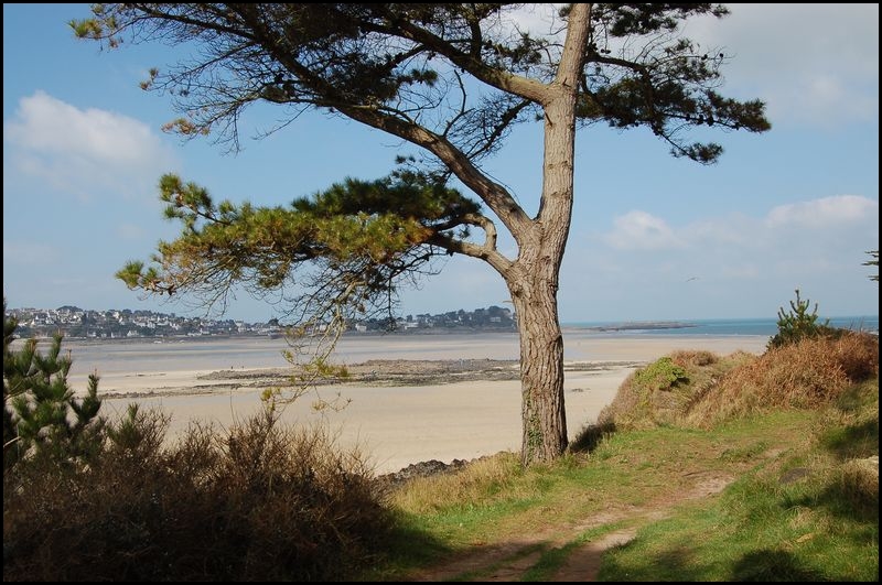 BZH(37).JPG