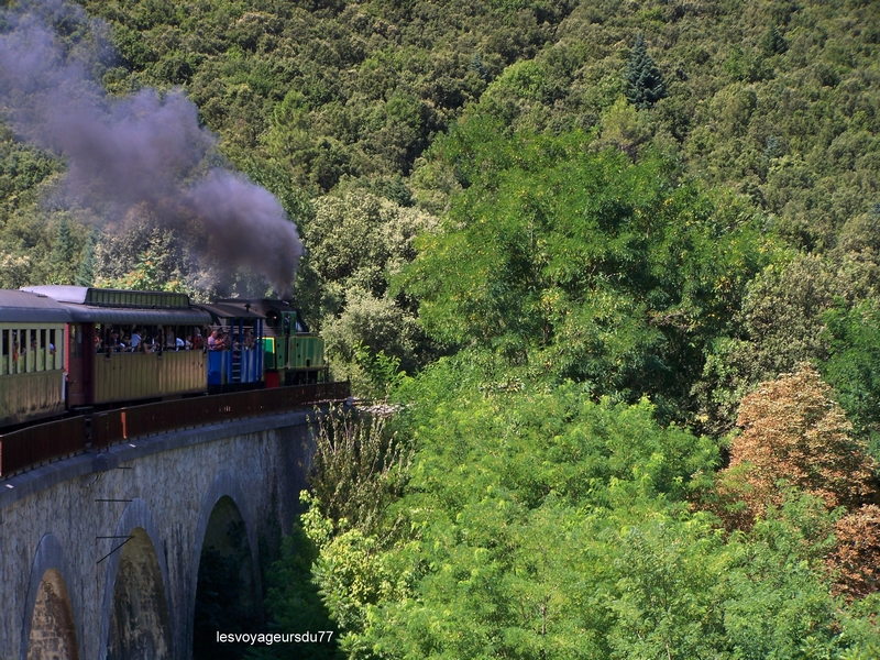 train3.JPG