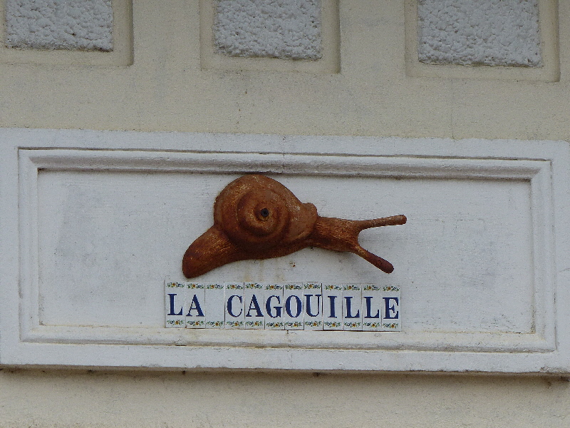 P1040265(2).JPG