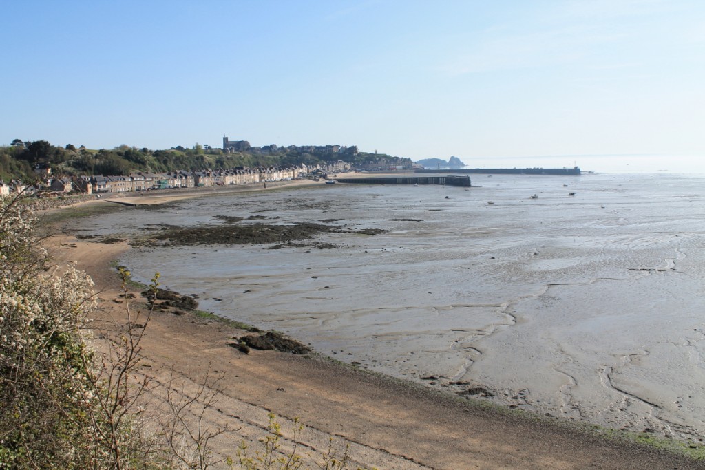 DPP_0001.JPG