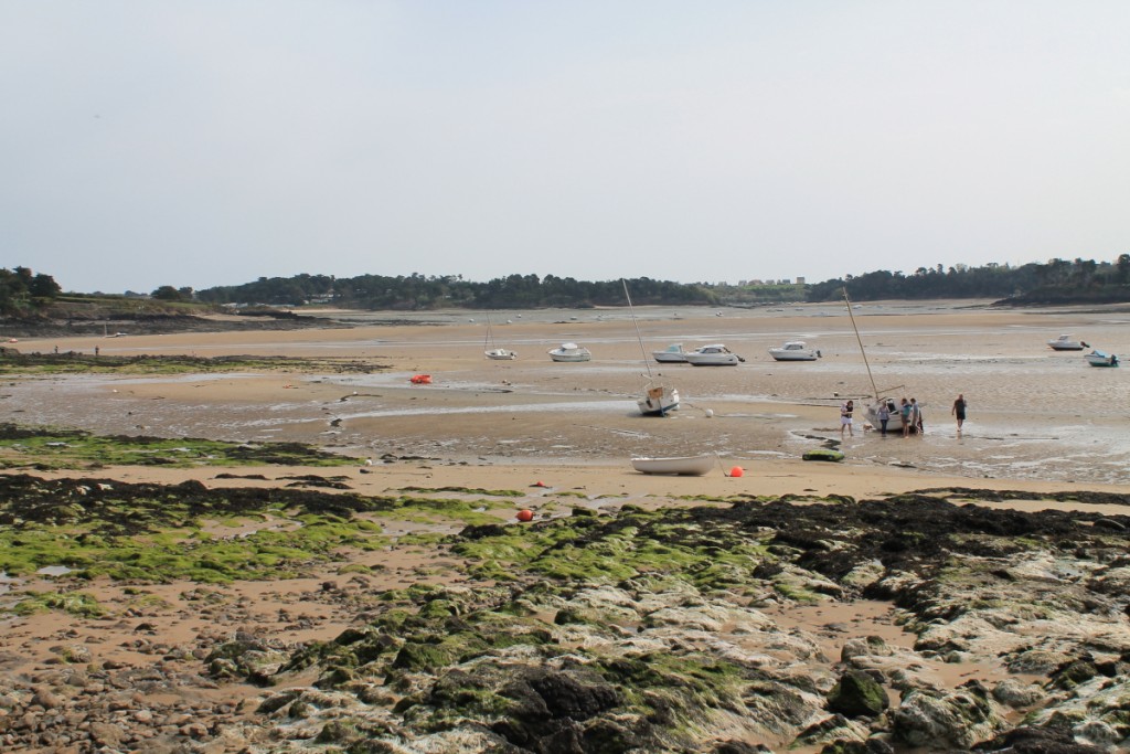 DPP_0029.JPG