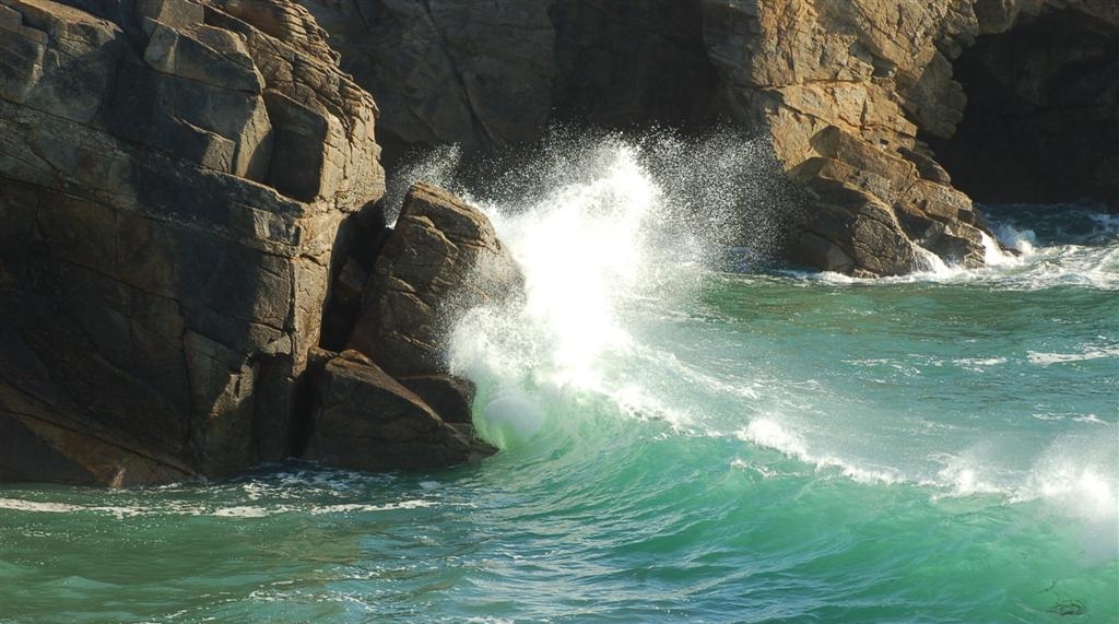 Morbihan Cote sauvage.JPG