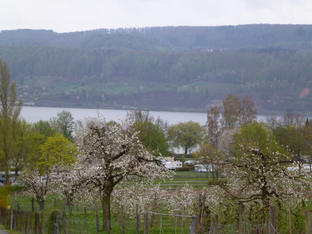 camping de HORN acsi  tres bien AU BORD DU LAC DE CONSTANCE UNTERSEE