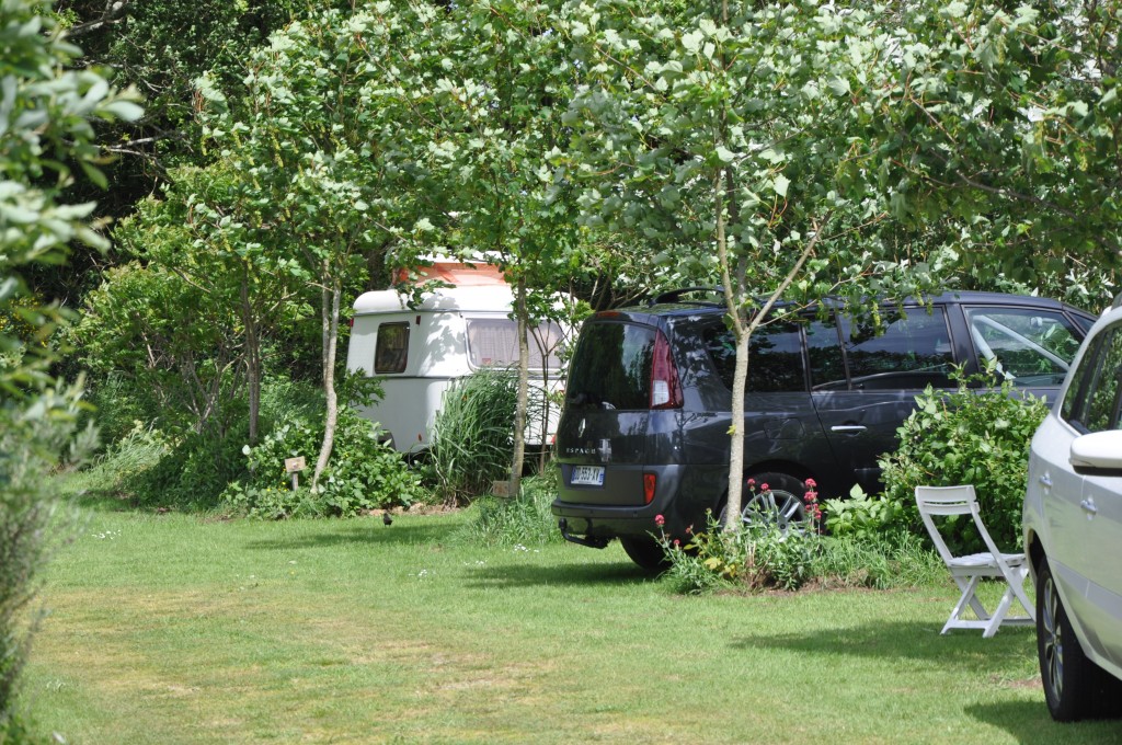 DSC_7250.JPG