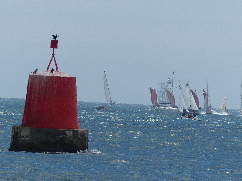 P1040647(1).JPG