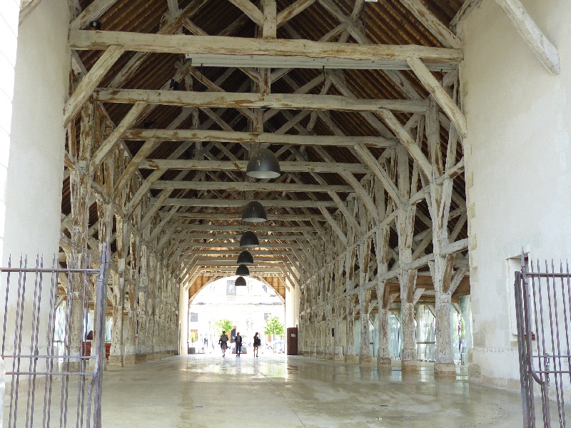 P1040384(1).JPG