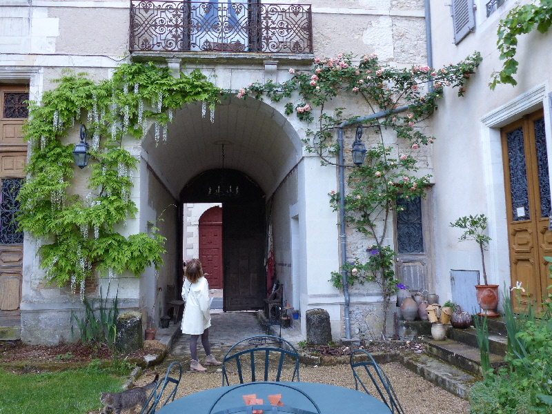 P1040402(1).JPG