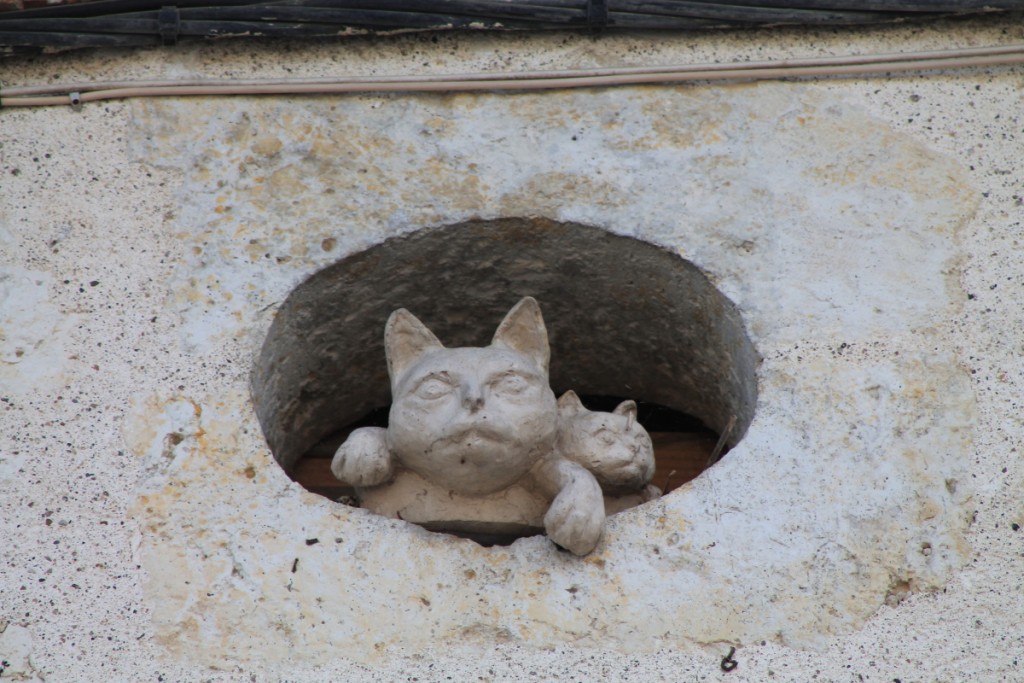 DPP_0008.JPG