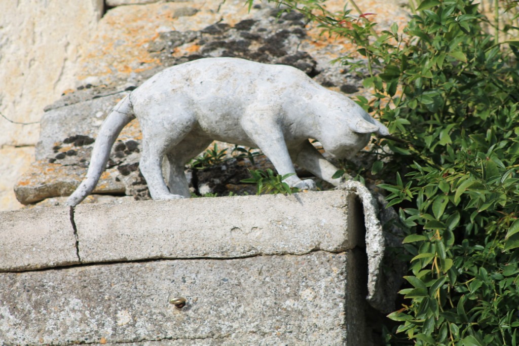 DPP_0010.JPG