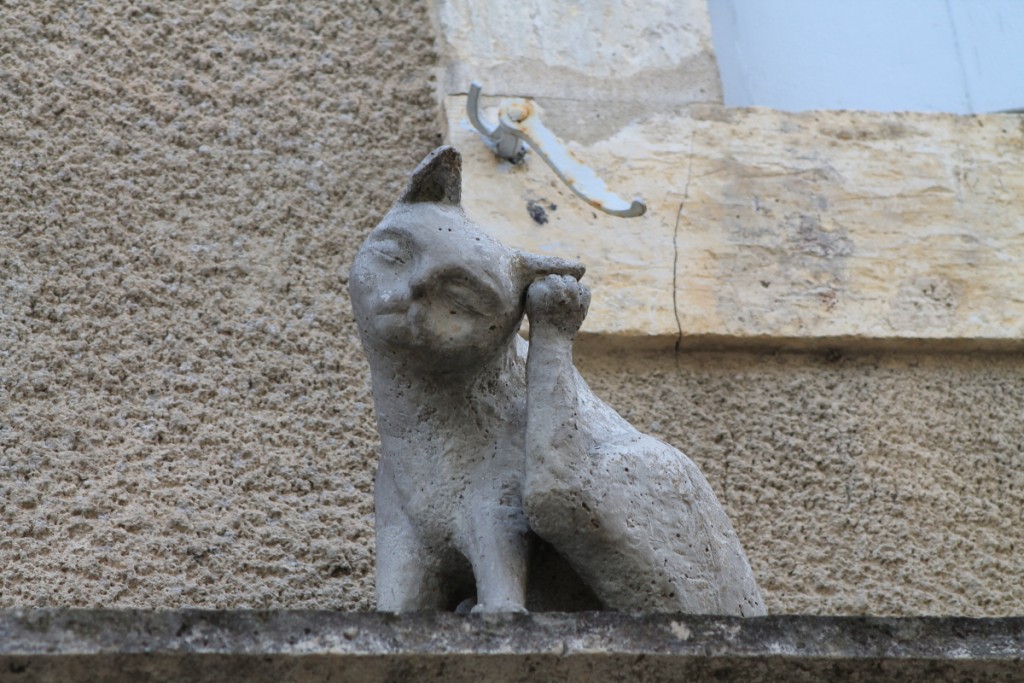 DPP_0016.JPG