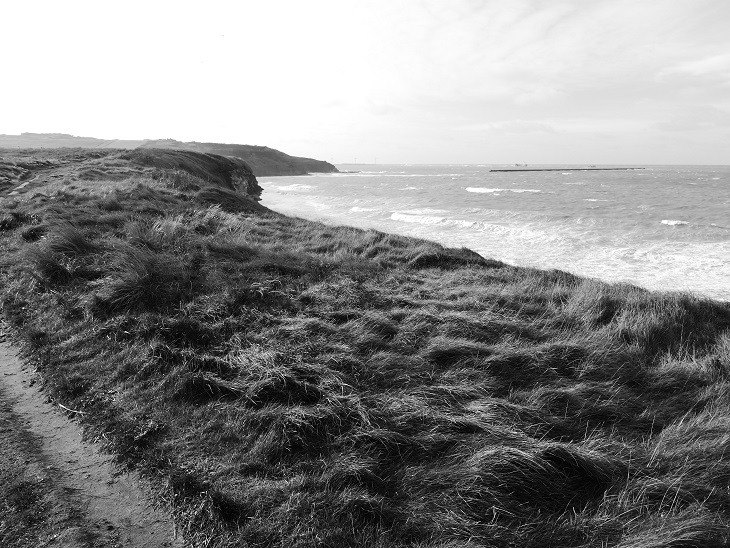 P1050588&.jpg