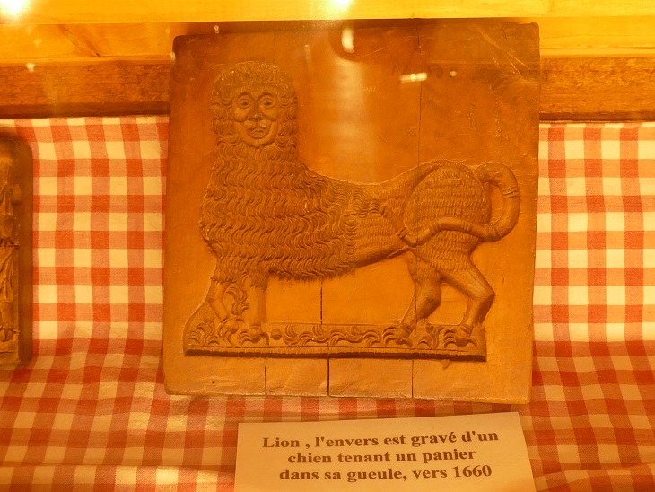 vieux lion