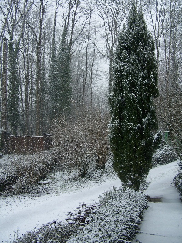 100_5316.JPG