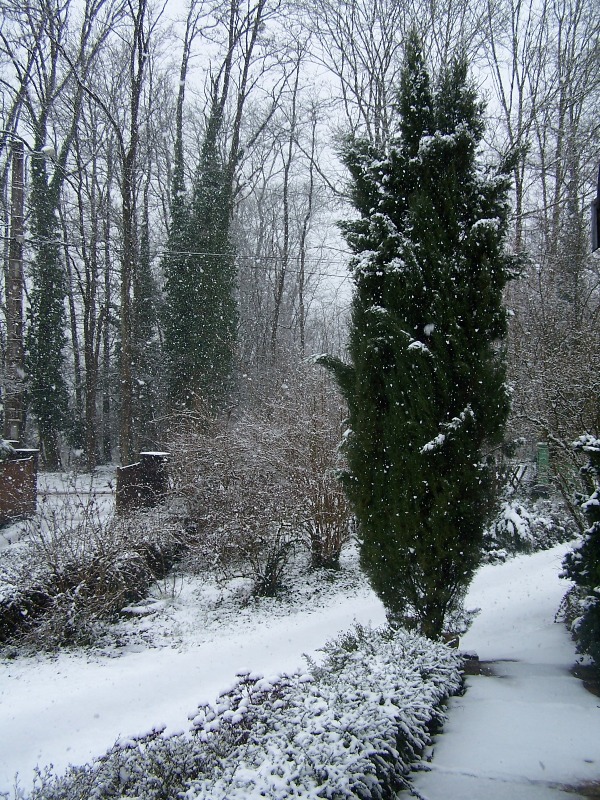 100_5317.JPG