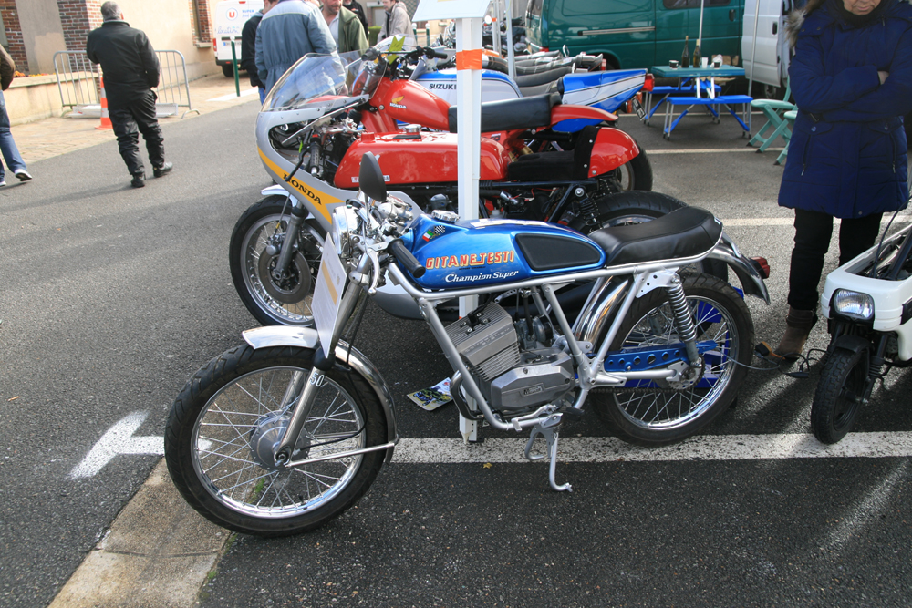 Gitane Testi.