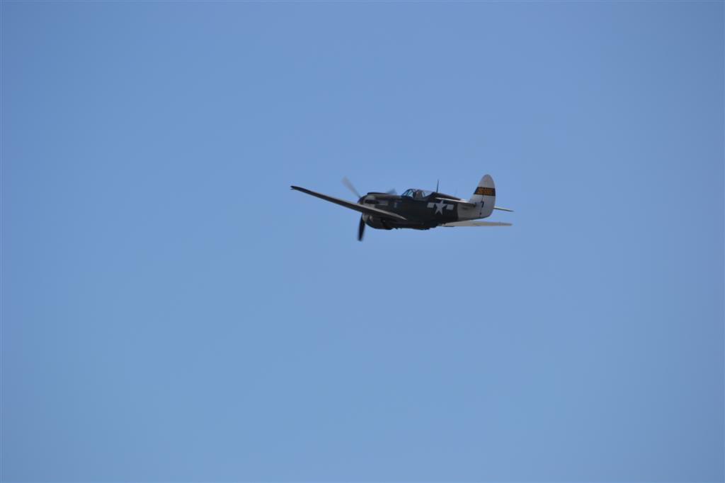 Biscarosse Curtiss P40 115 (3) (Large).jpg