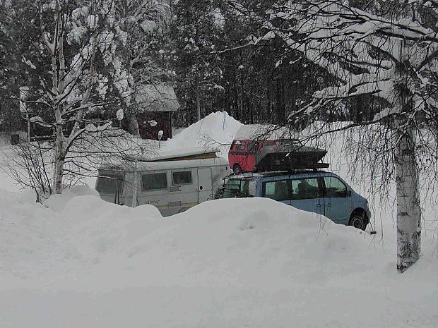 wintertroll Waldschrat.jpg